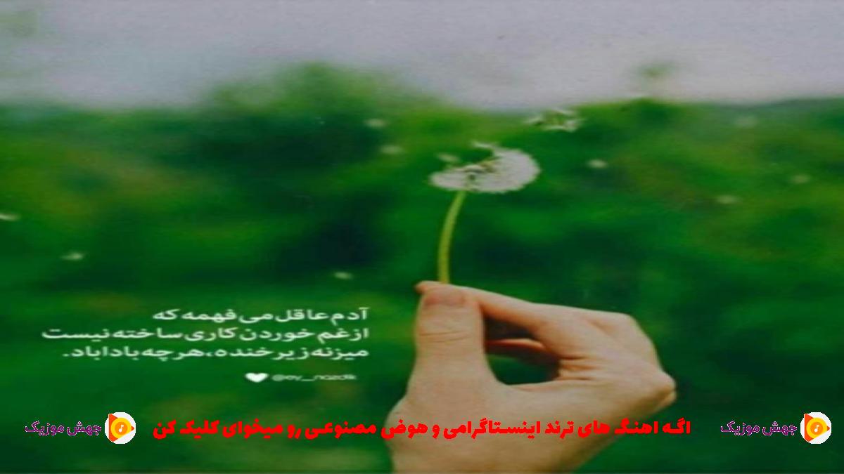 دانلود آهنگ رد داده مغزمه میگم از رضا رادین